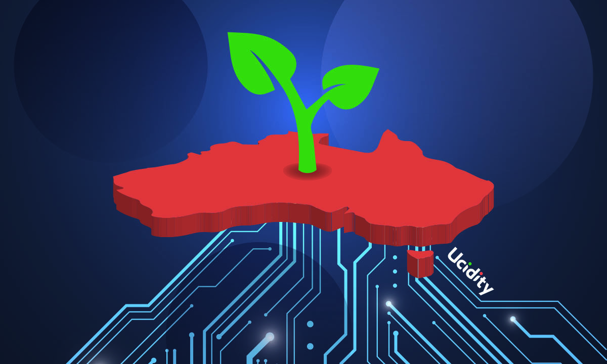 How to grow your marketing database and transform it into paying customers